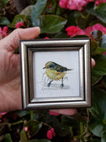 Handmade Tiny Bird Framed Giclée Print